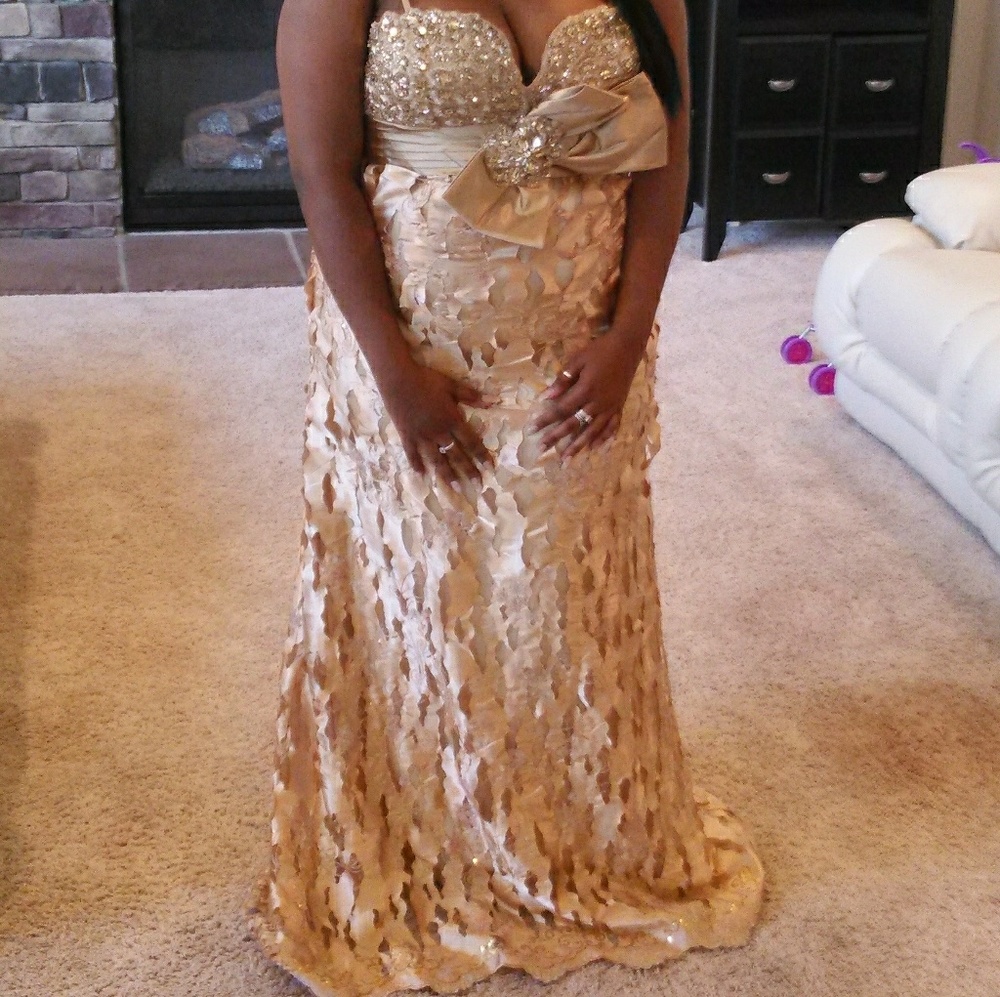 Evening Gown